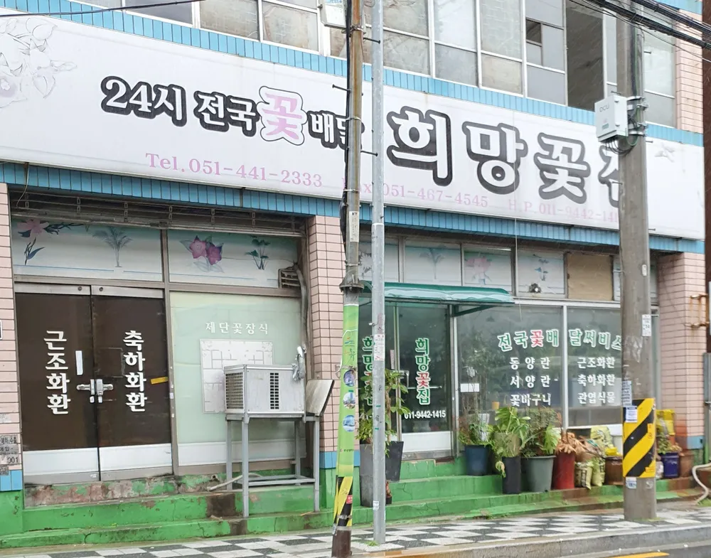희망꽃집 대표 이미지