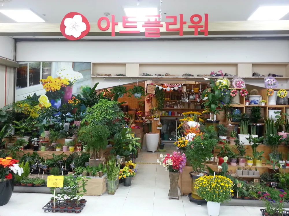 아트플라워 대표 이미지