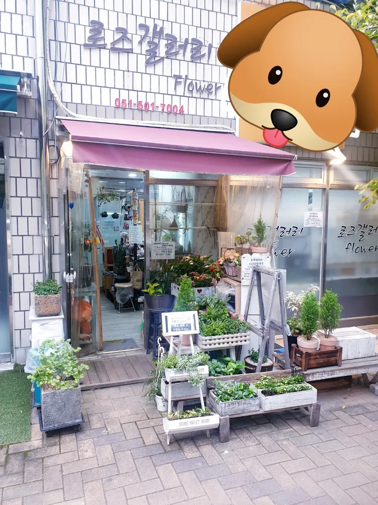 로즈갤러리 대표 이미지