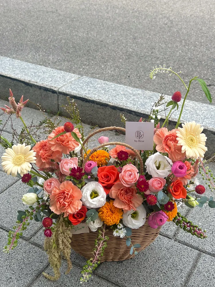 바이플레르 대표 이미지