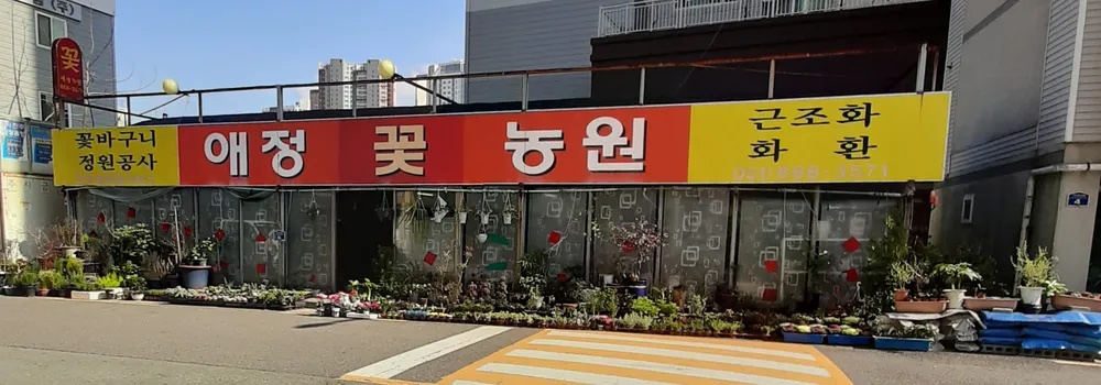 애정꽃농원 대표 이미지
