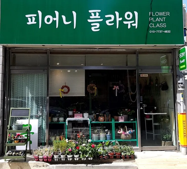 피어니플라워 대표 이미지