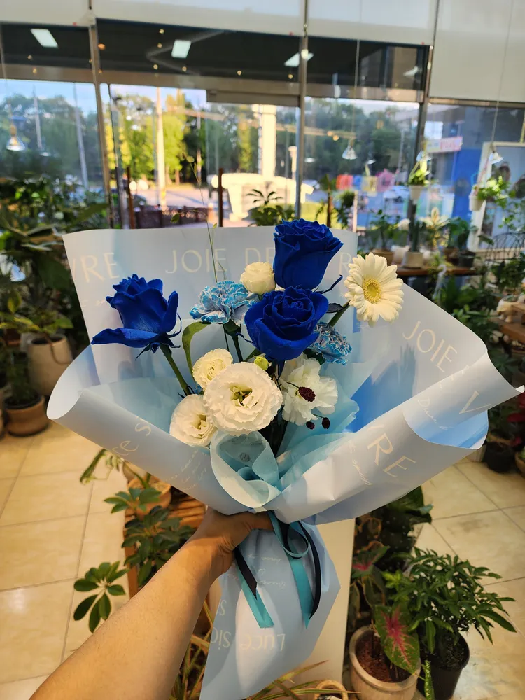 르마리에 대표 이미지