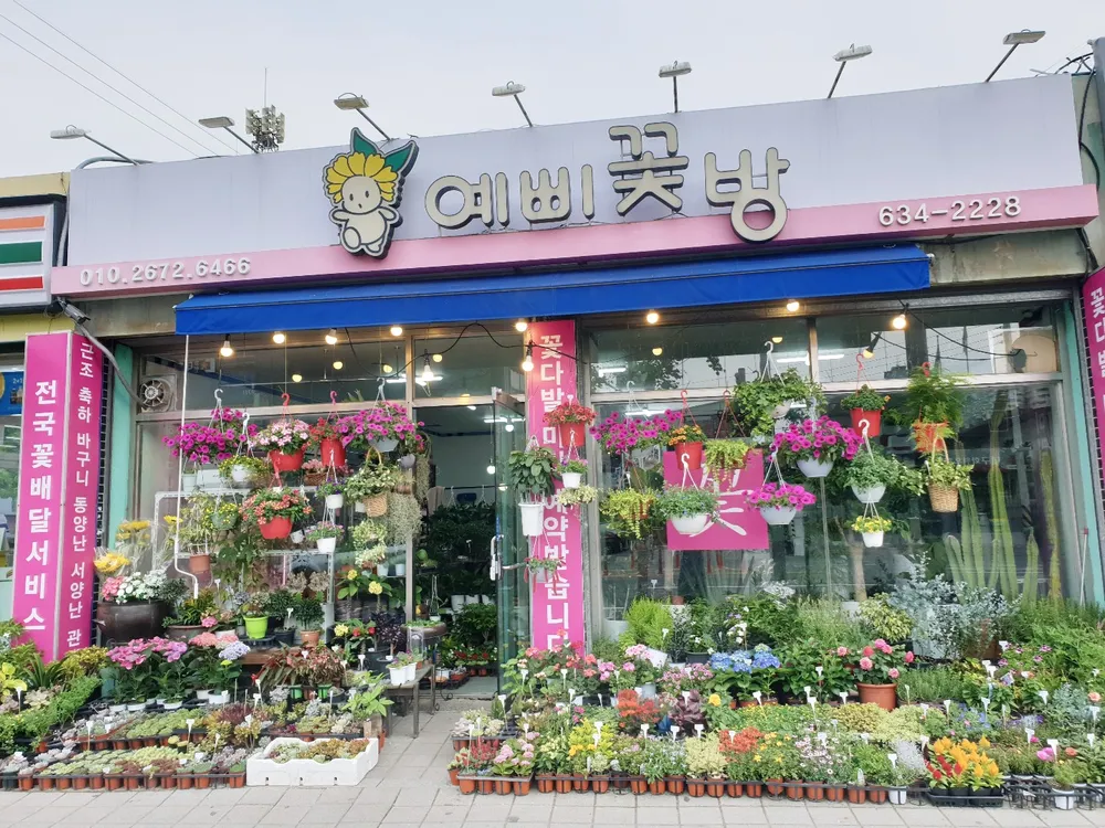 예삐꽃방 대표 이미지