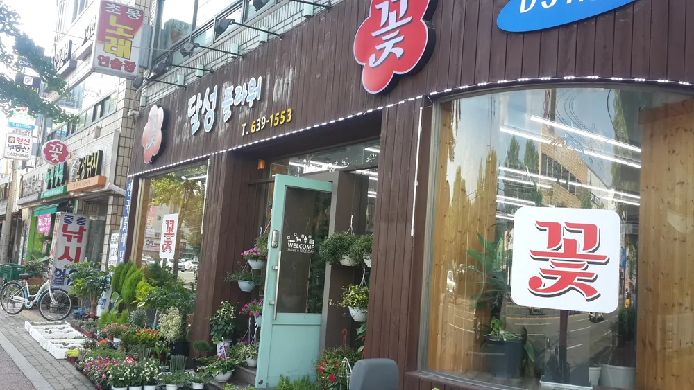 달성플라워 대표 이미지