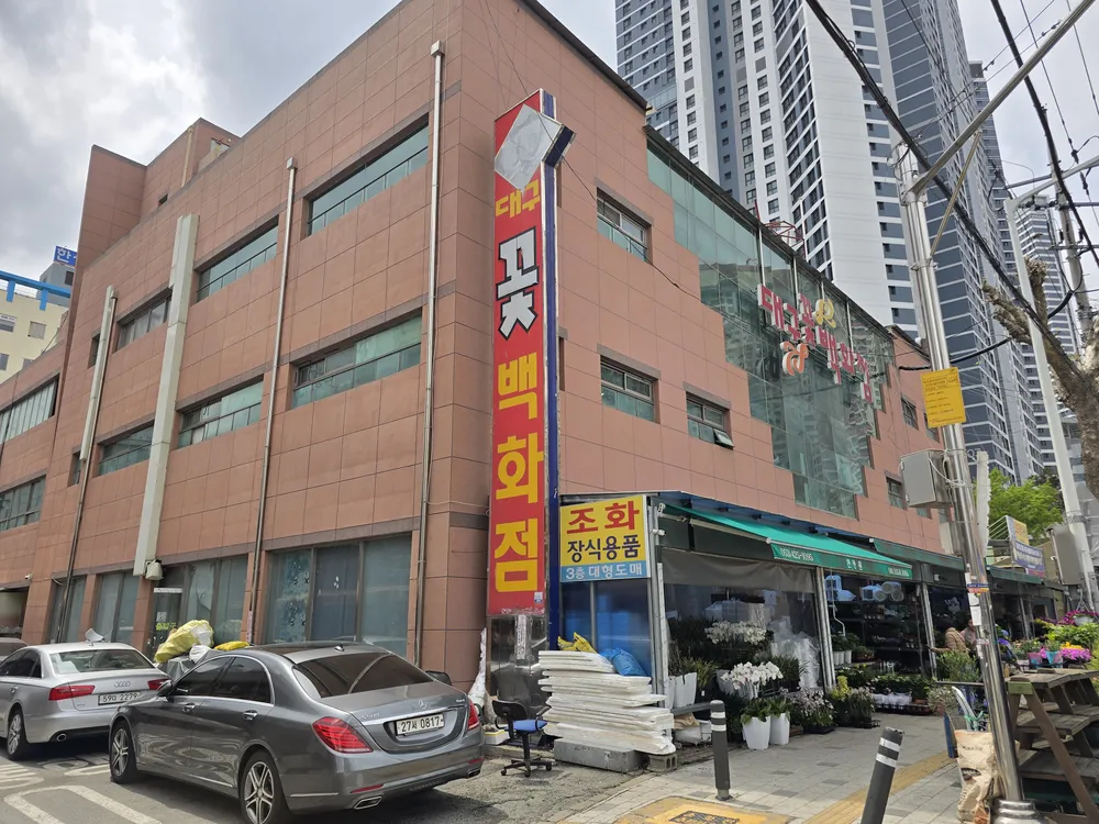 대구꽃백화점 대표 이미지