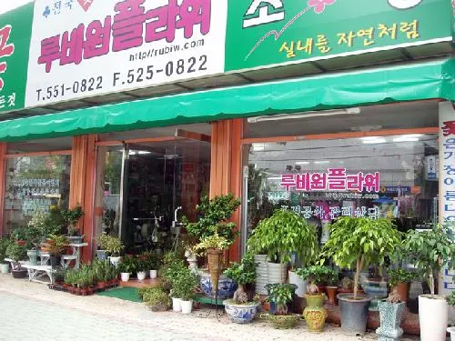 루비원플라워 대표 이미지