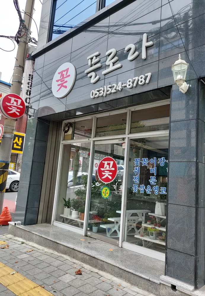 플로라 대표 이미지