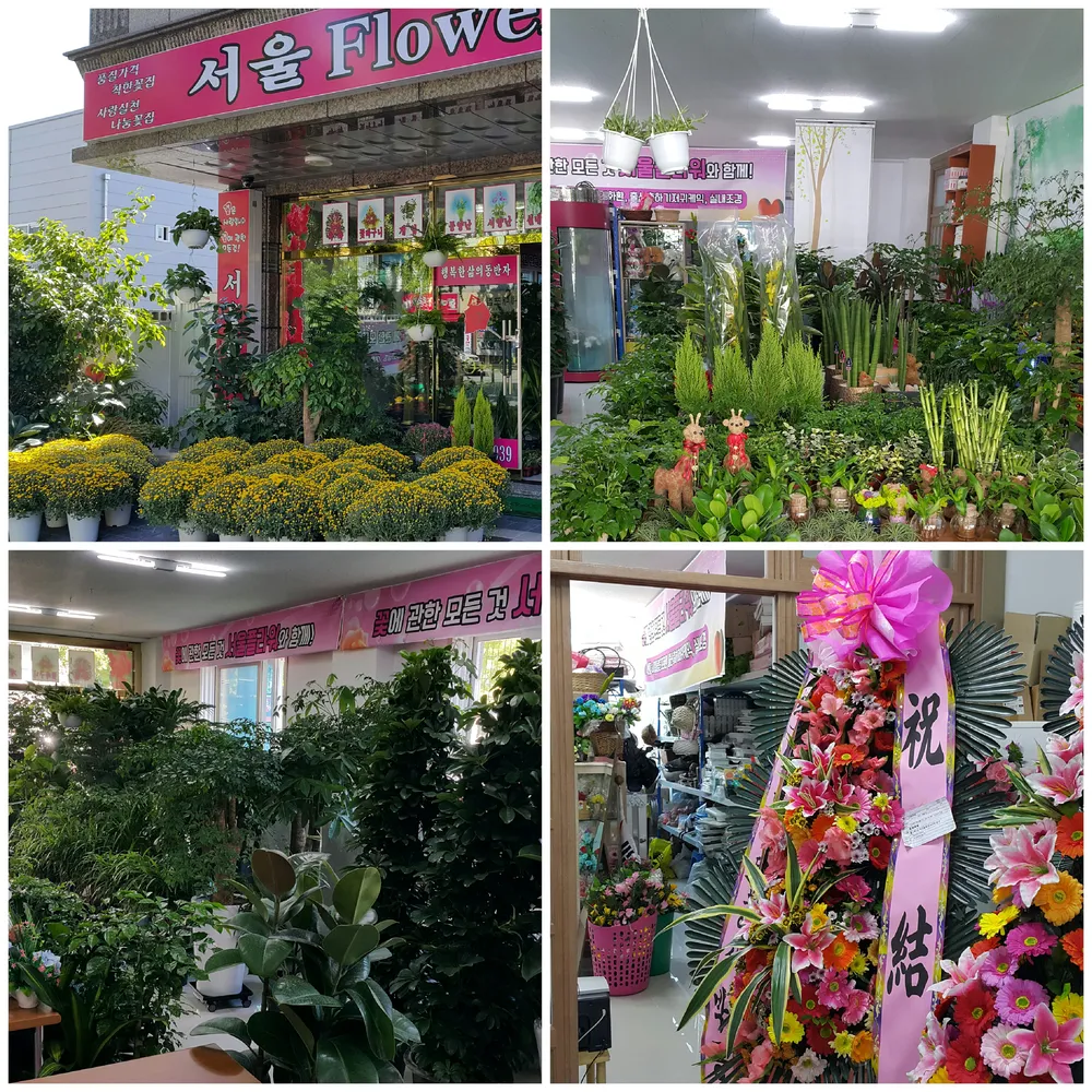 서울꽃집 대표 이미지