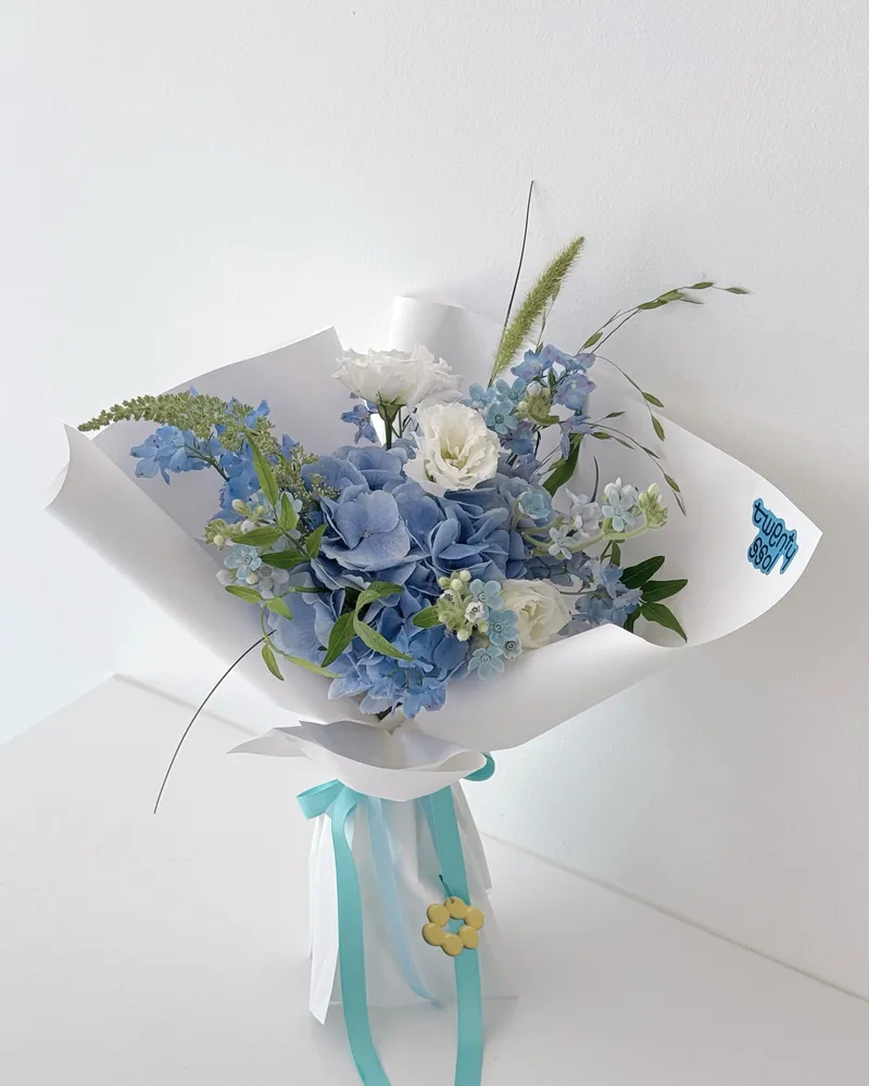 트웬티쏠 대표 이미지