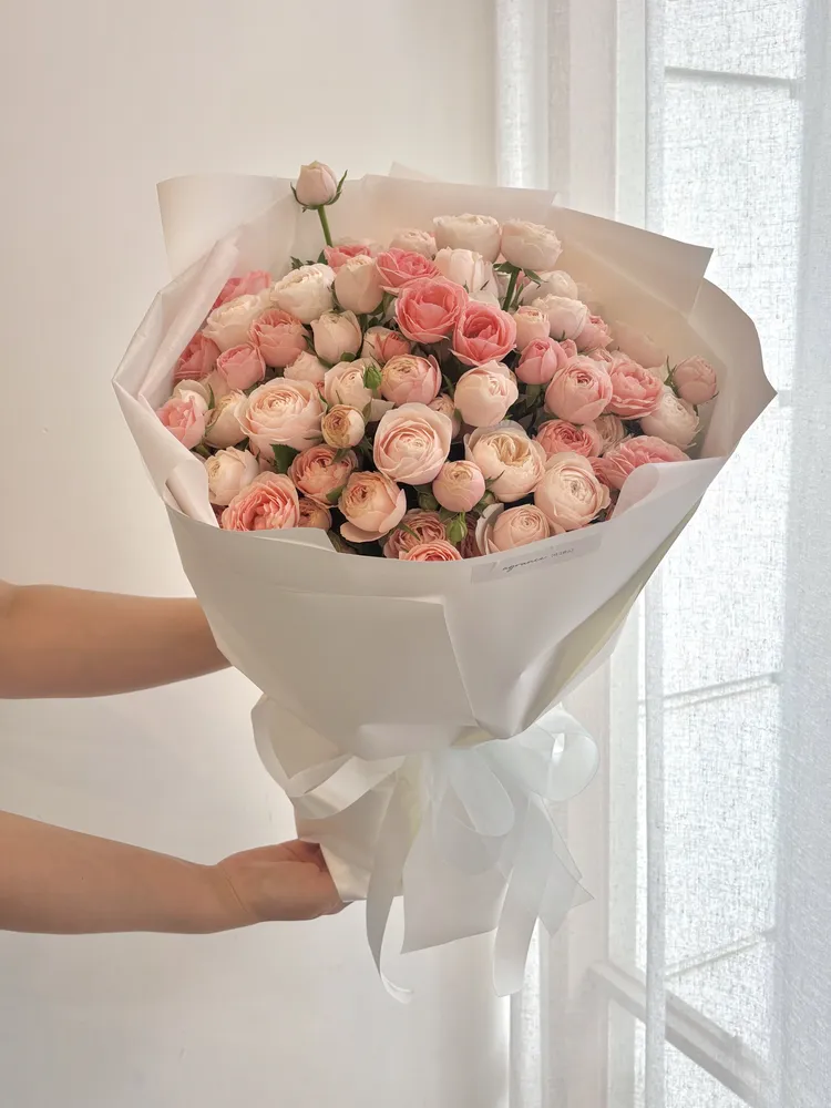 아그란스 대표 이미지