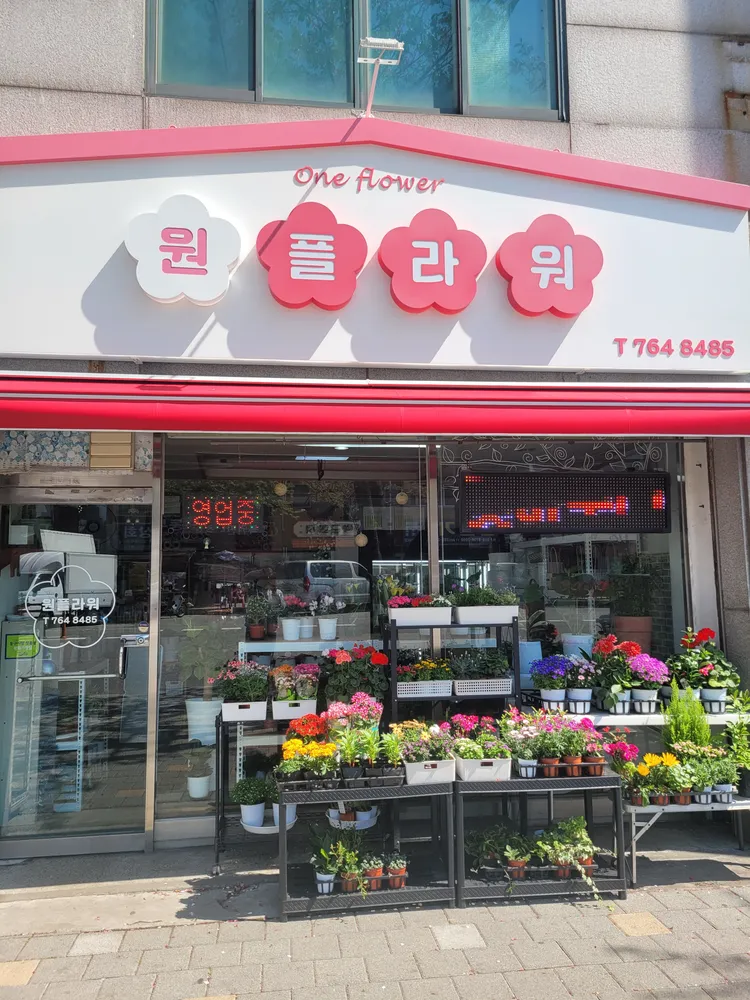 원플라워 대표 이미지