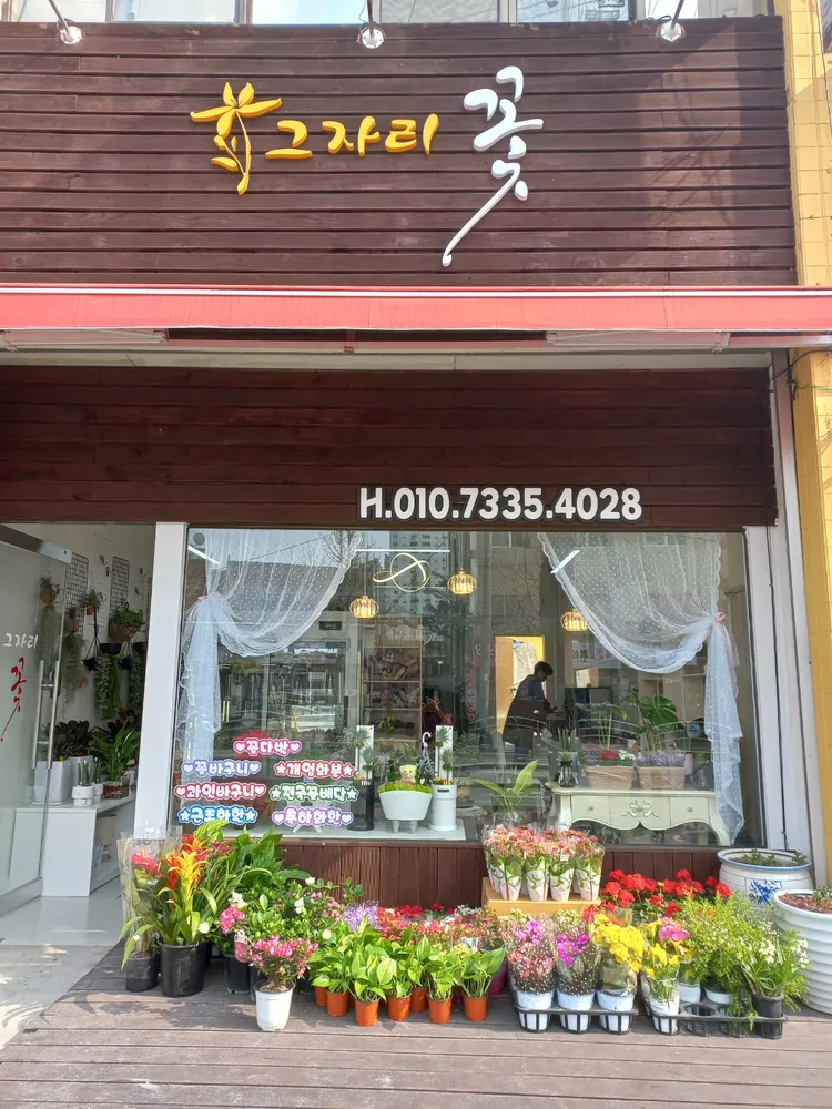 그자리꽃 대표 이미지