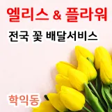 엘리스&플라워 대표 이미지