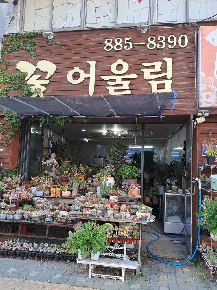 꽃어울림 대표 이미지