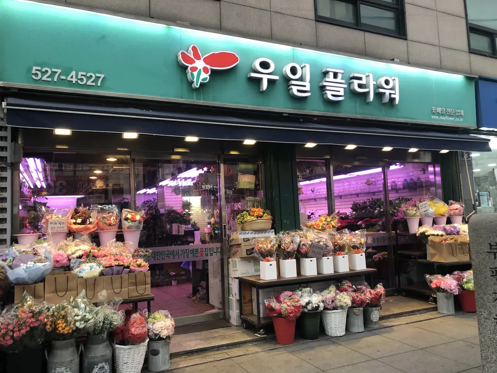 우일플라워 대표 이미지