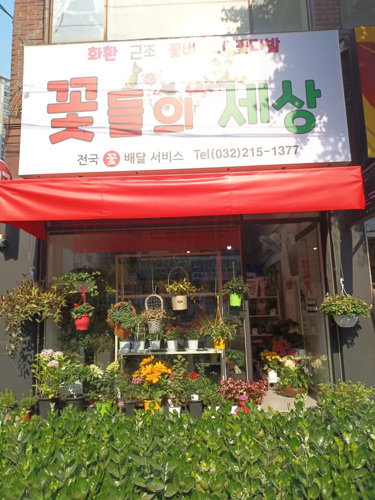 꽃들의세상 대표 이미지