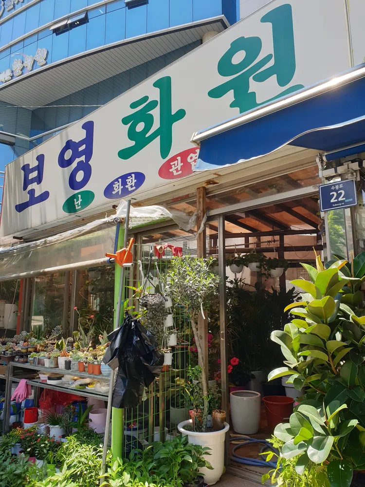 보영화원 대표 이미지
