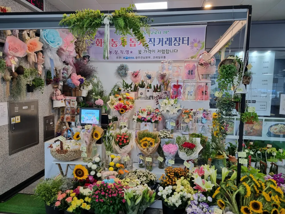 시나플라워 대표 이미지