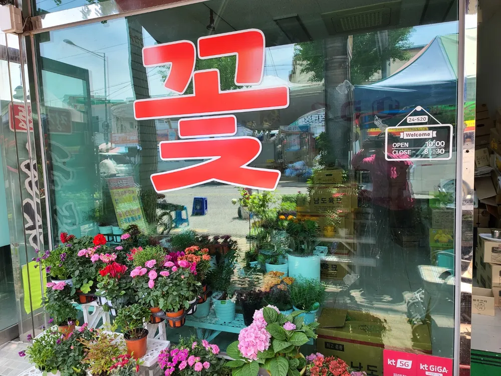 다정모종꽃 대표 이미지