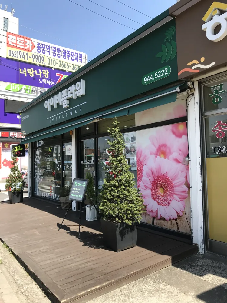 아이비플라워 대표 이미지