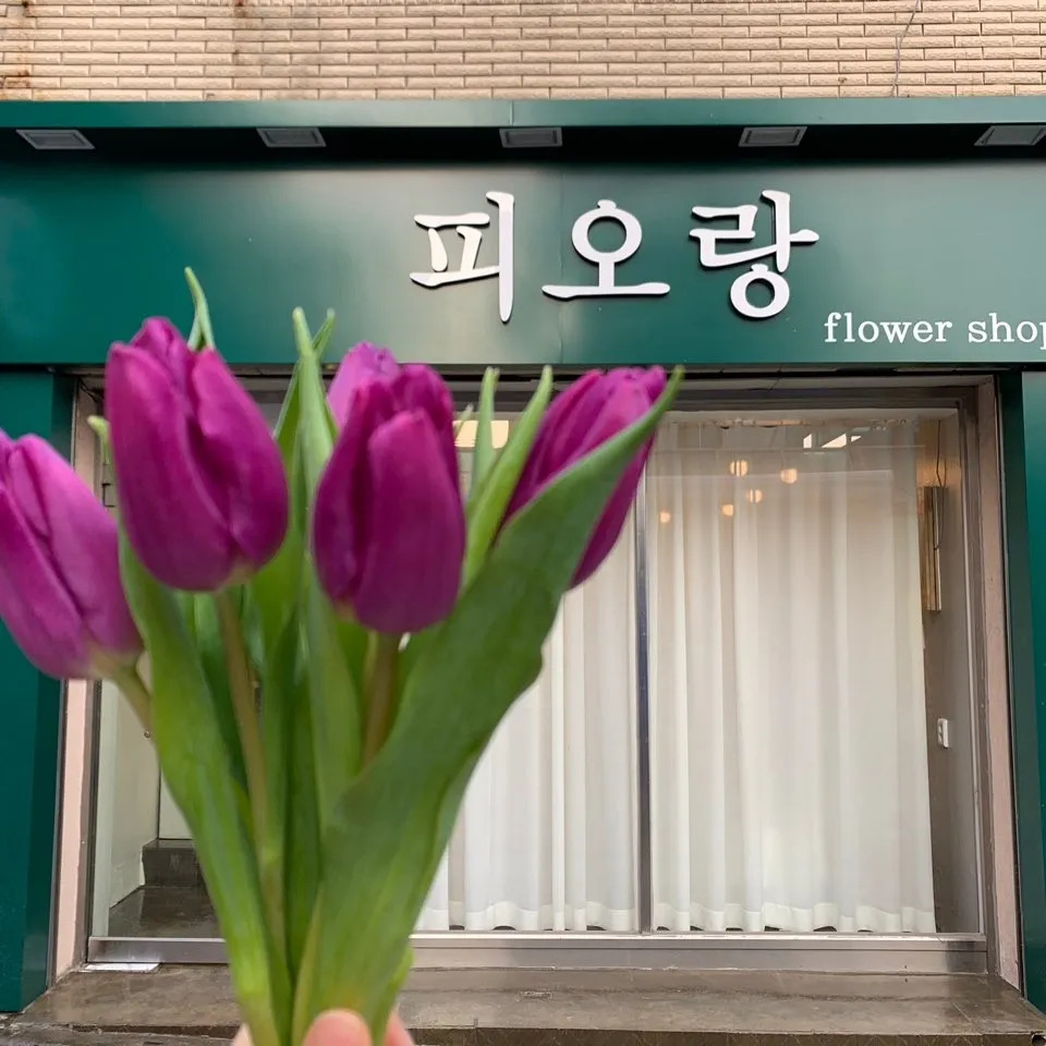 피오랑 대표 이미지