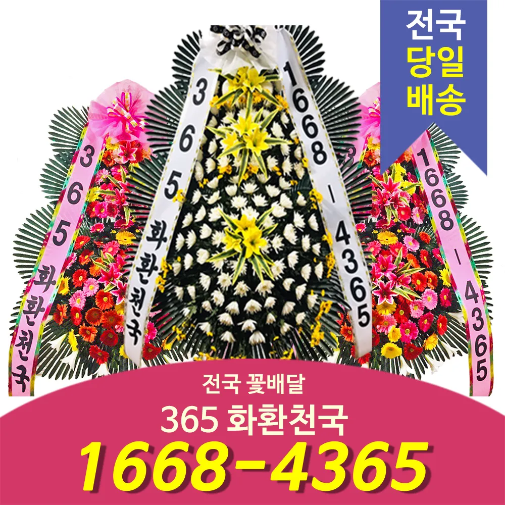 전국꽃배달화환천국 대표 이미지