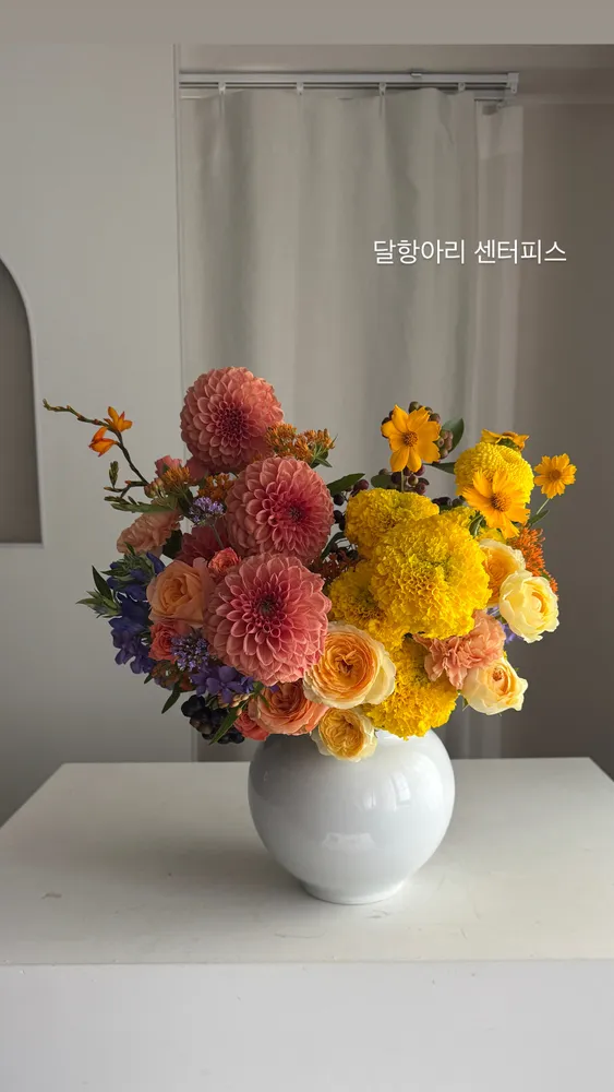라라플로라 대표 이미지