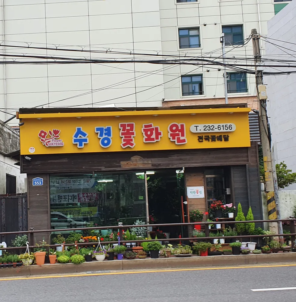수경꽃화원 대표 이미지