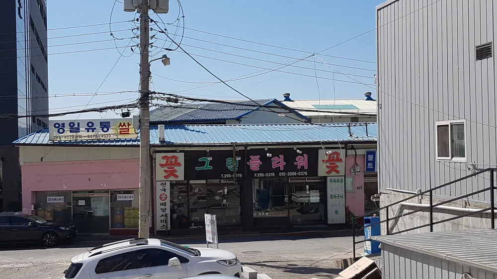 그린플라워 대표 이미지