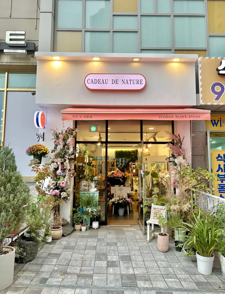 꺄도 드 나뚜르 대표 이미지