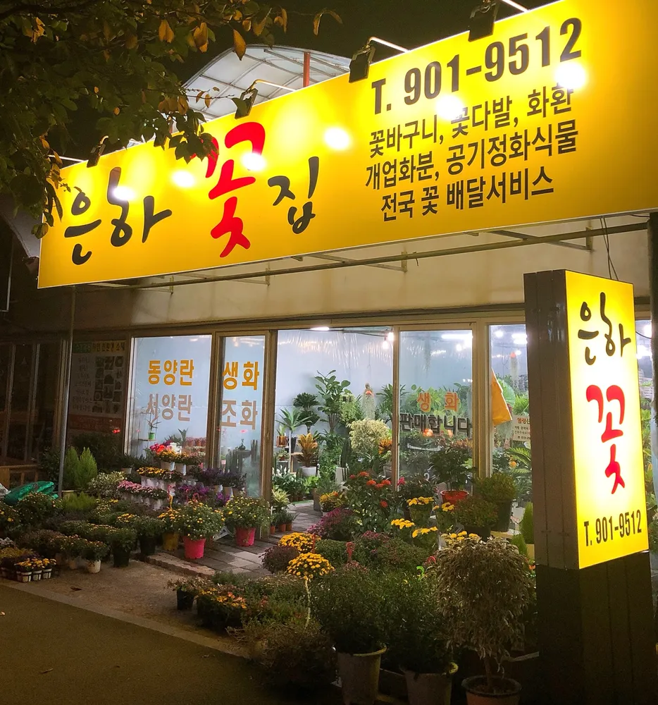은하꽃집 대표 이미지
