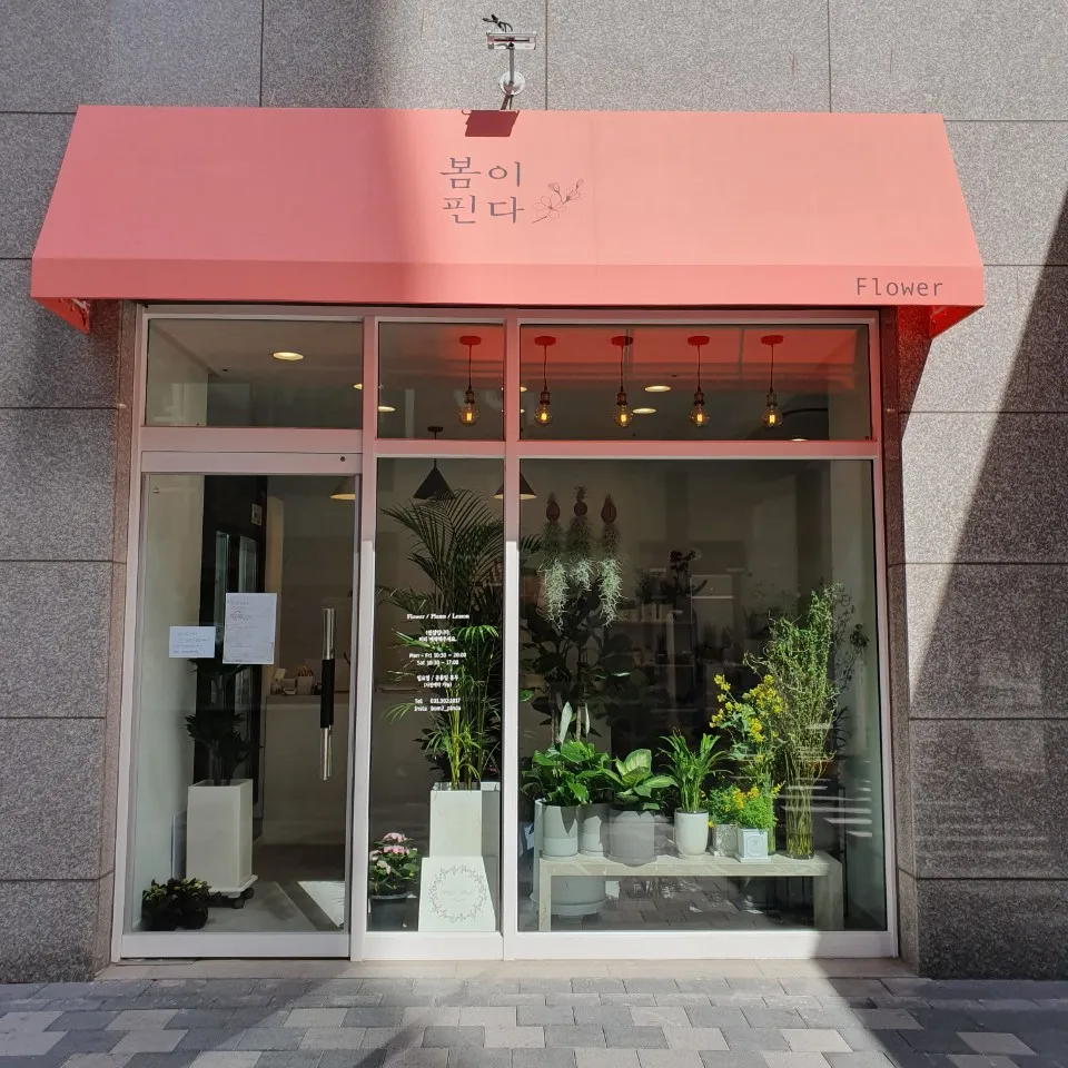 봄이핀다 대표 이미지