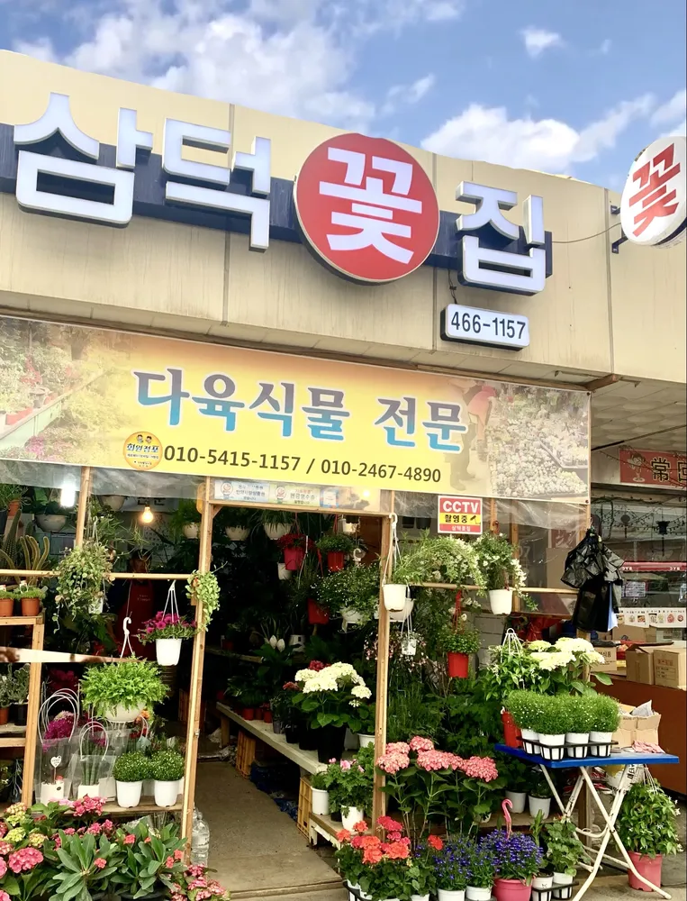 삼덕꽃집 대표 이미지