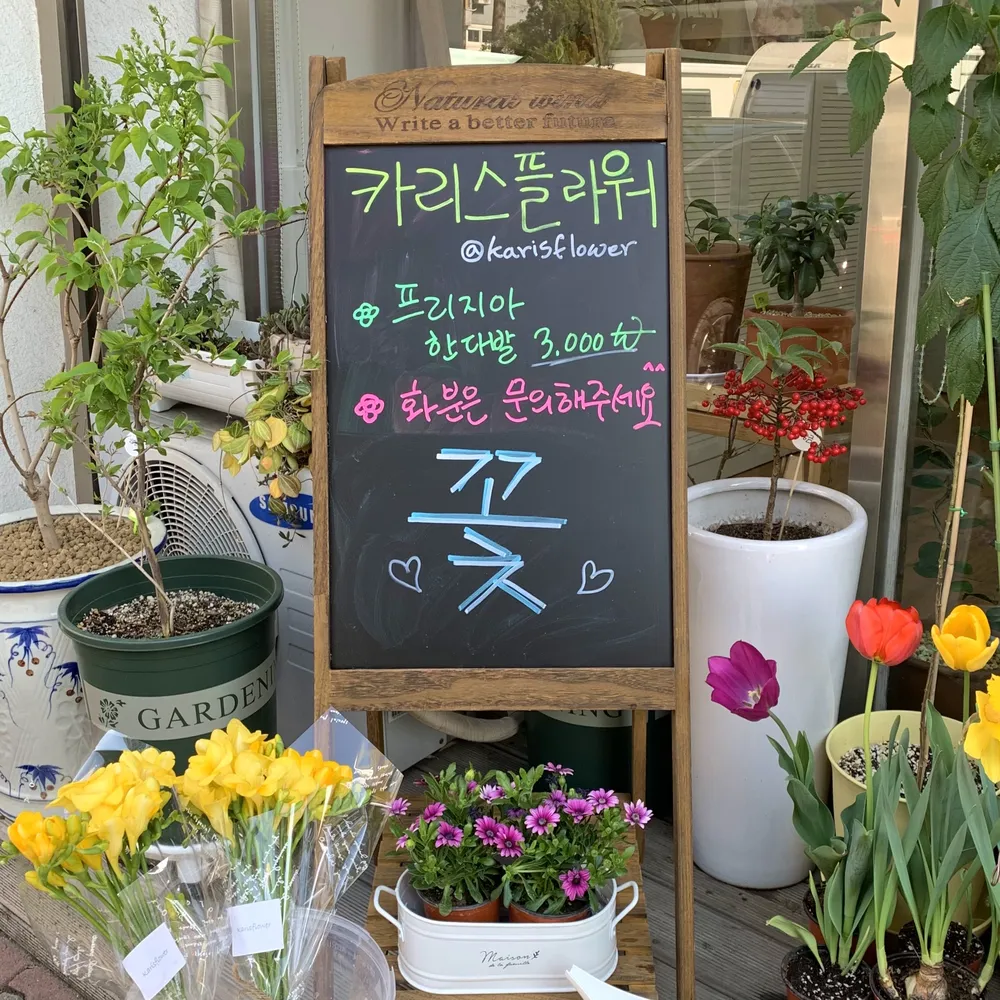카리스플라워 대표 이미지