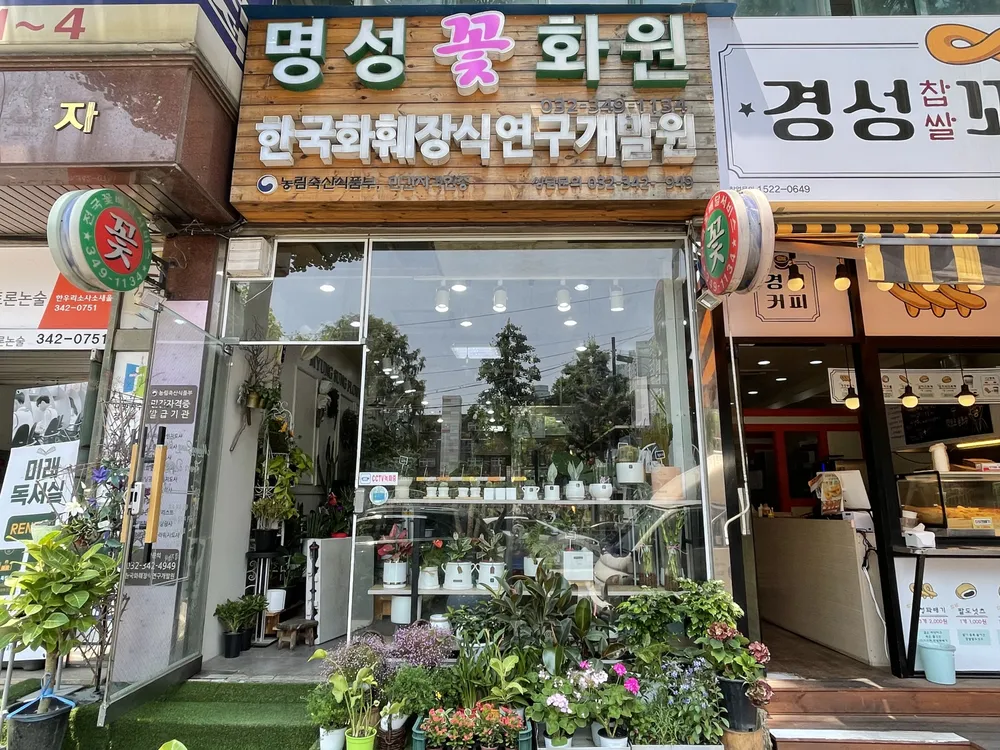 명성꽃화원 대표 이미지
