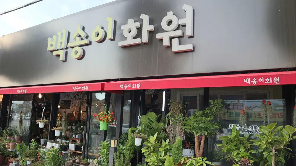 백송이화원 대표 이미지