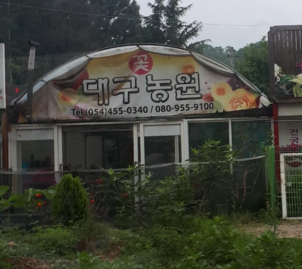 대구농원 대표 이미지