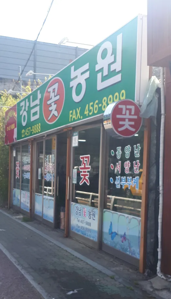 강남꽃농원 대표 이미지