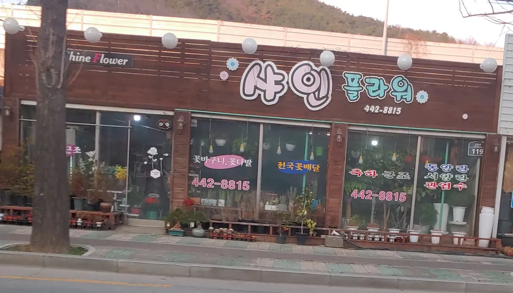 샤인플라워 대표 이미지