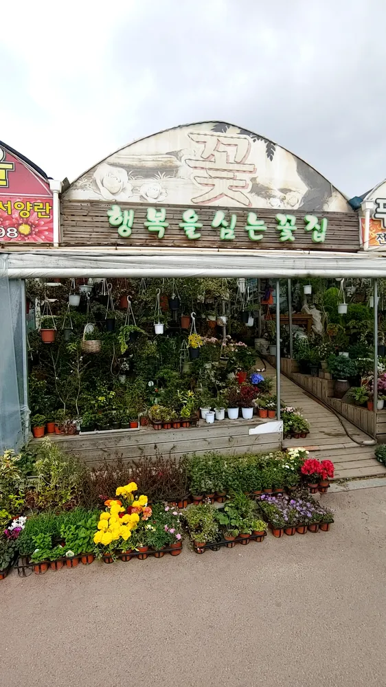 행복을심는꽃집 대표 이미지
