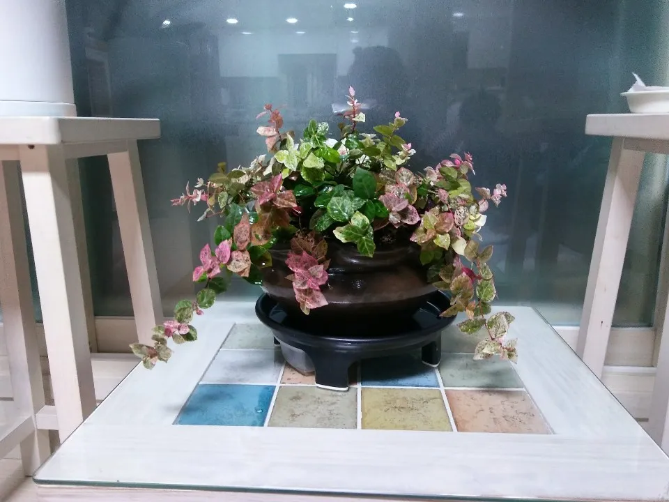 꽃마을 대표 이미지