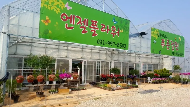 엔젤플라워 대표 이미지
