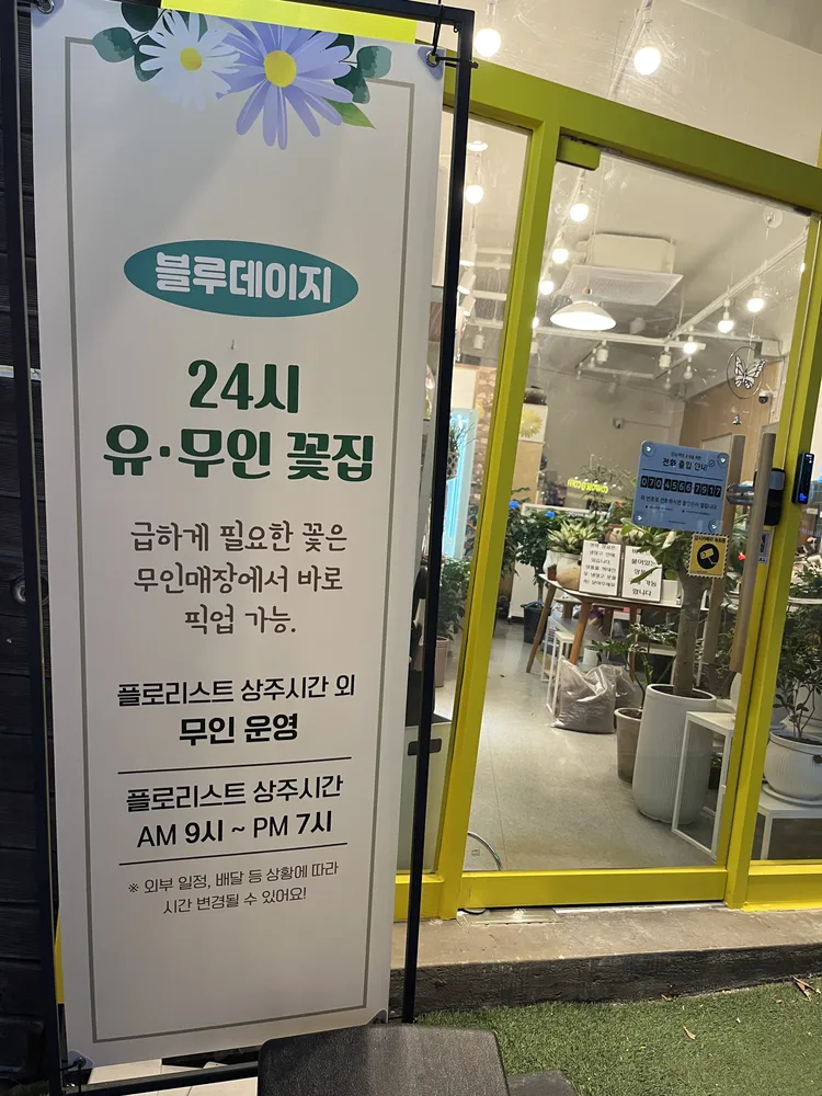 블루 데이지 대표 이미지