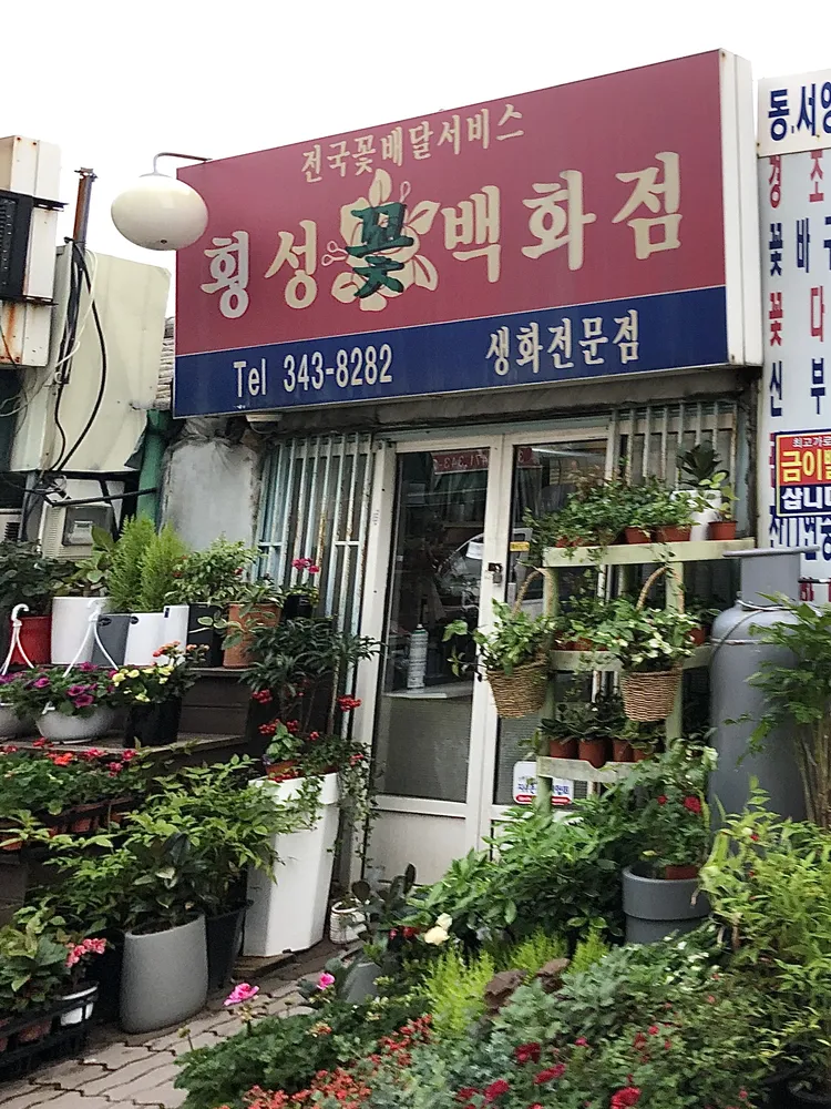 횡성꽃백화점 대표 이미지