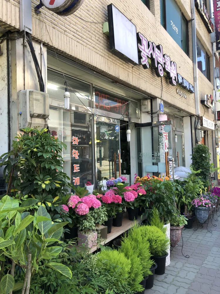 꽃사랑화원 대표 이미지