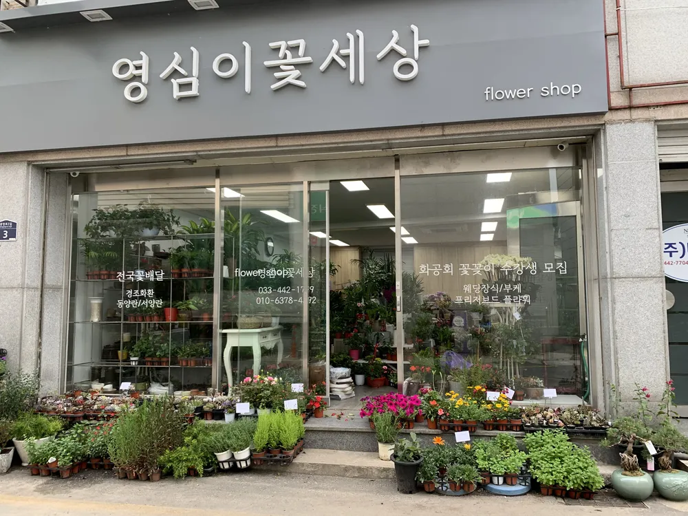 영심이꽃세상