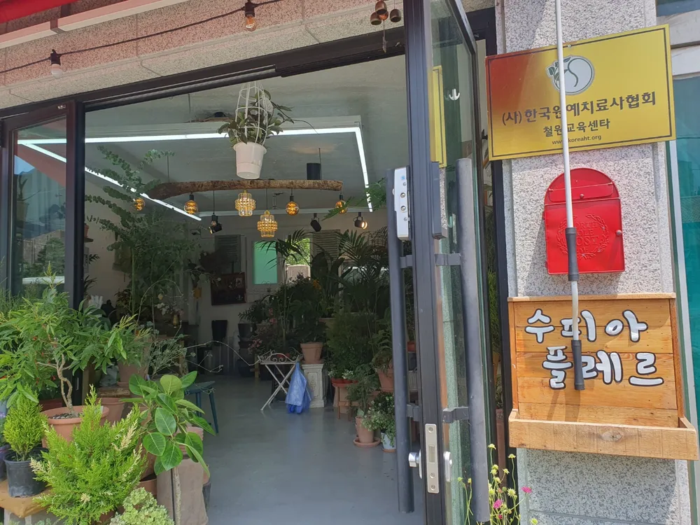 수피아플레르 대표 이미지