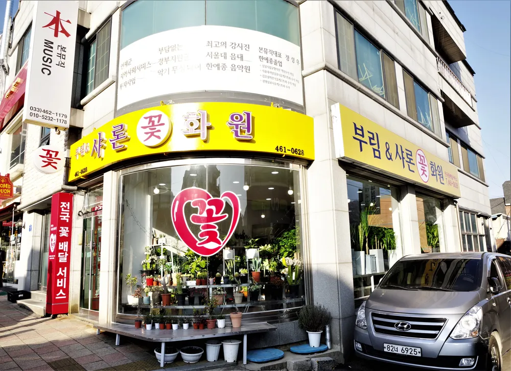샤론화원 대표 이미지