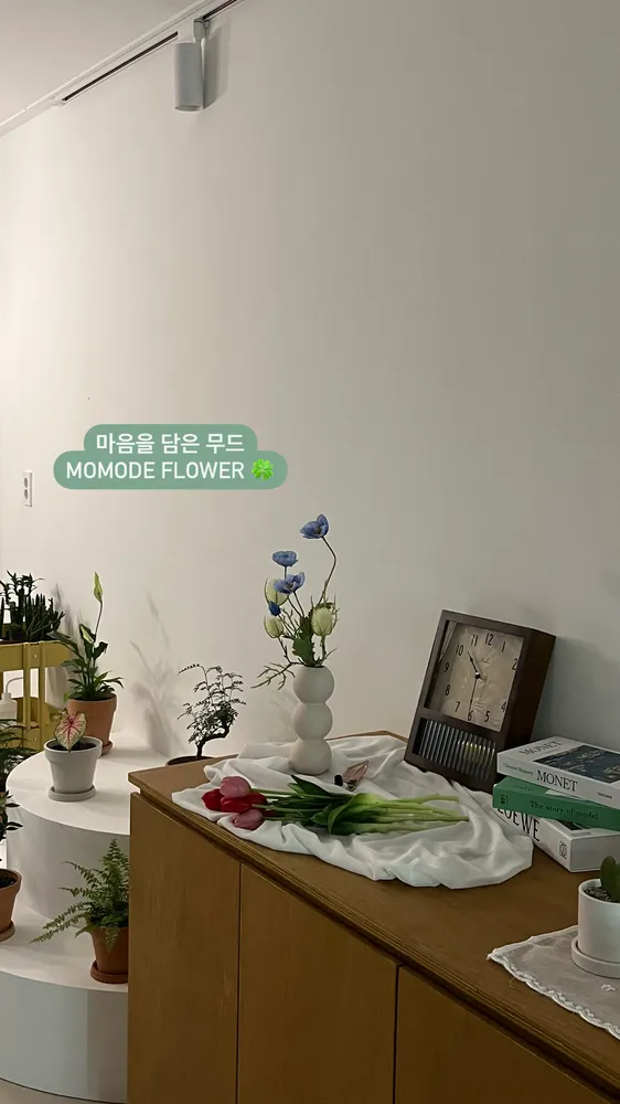 모모드플라워 대표 이미지